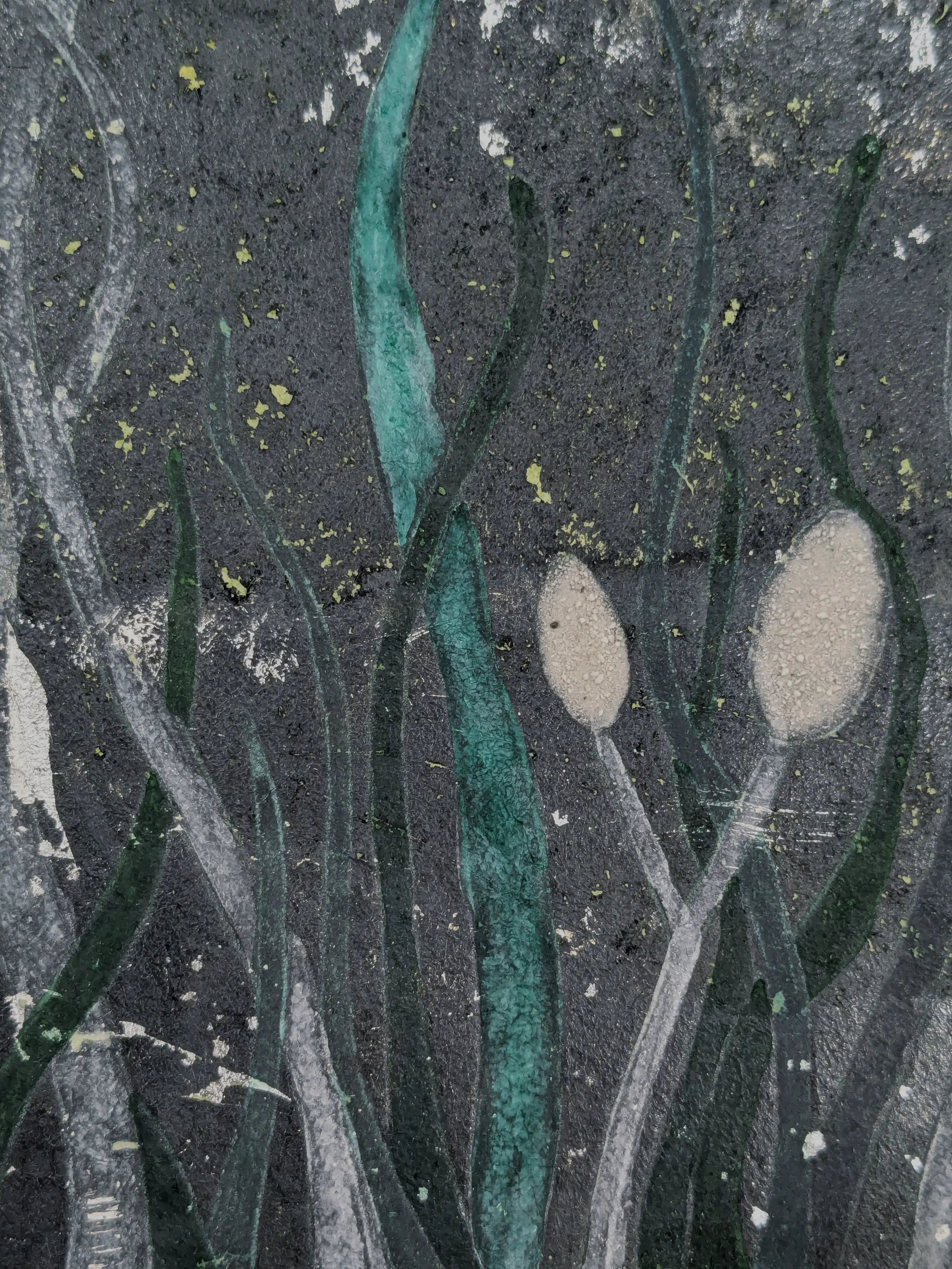 /images/painting/膠彩/夜裡蔥蘭/過程/p2.webp