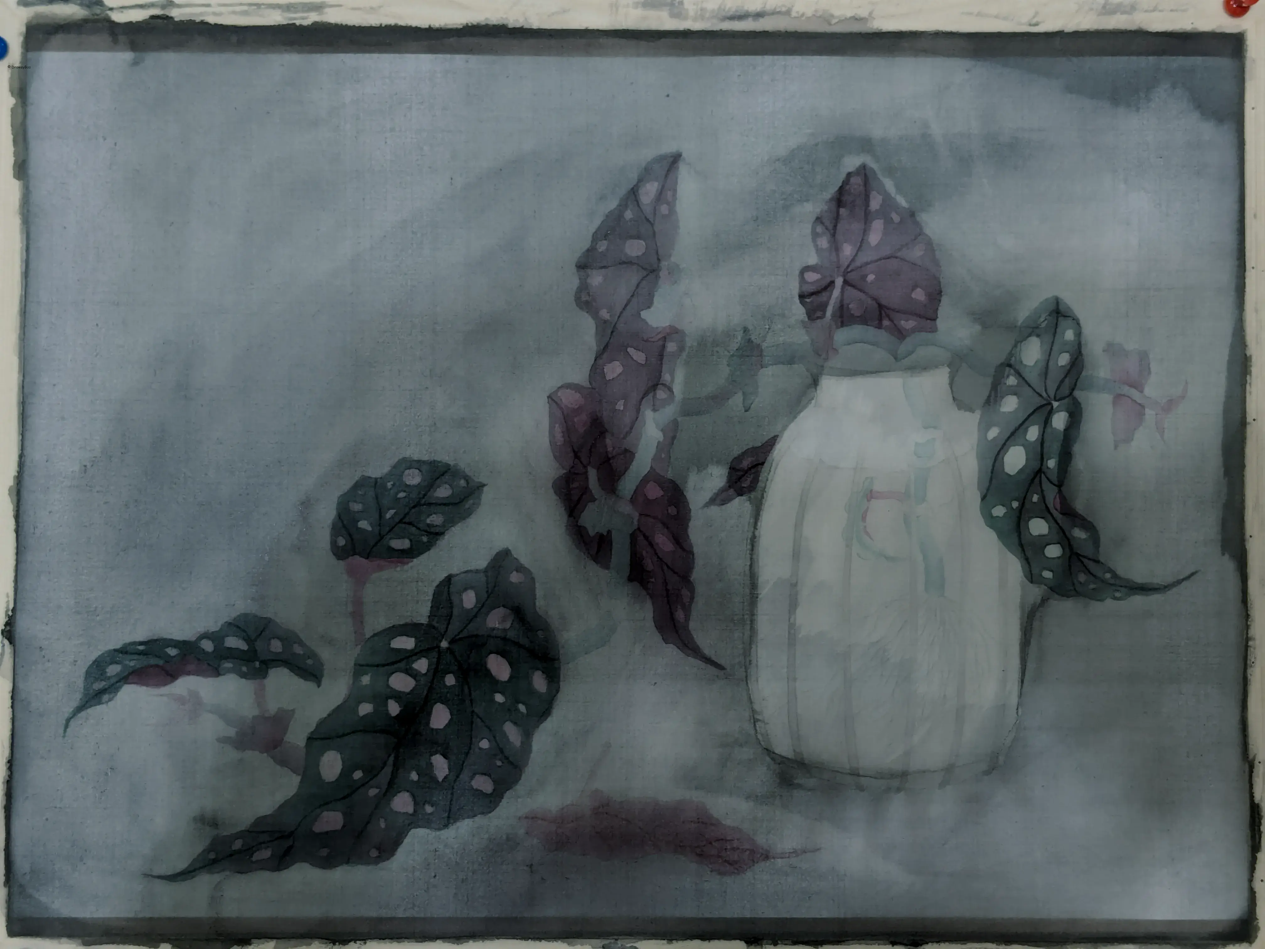 /images/painting/膠彩/星點秋海棠/圖/i1.webp