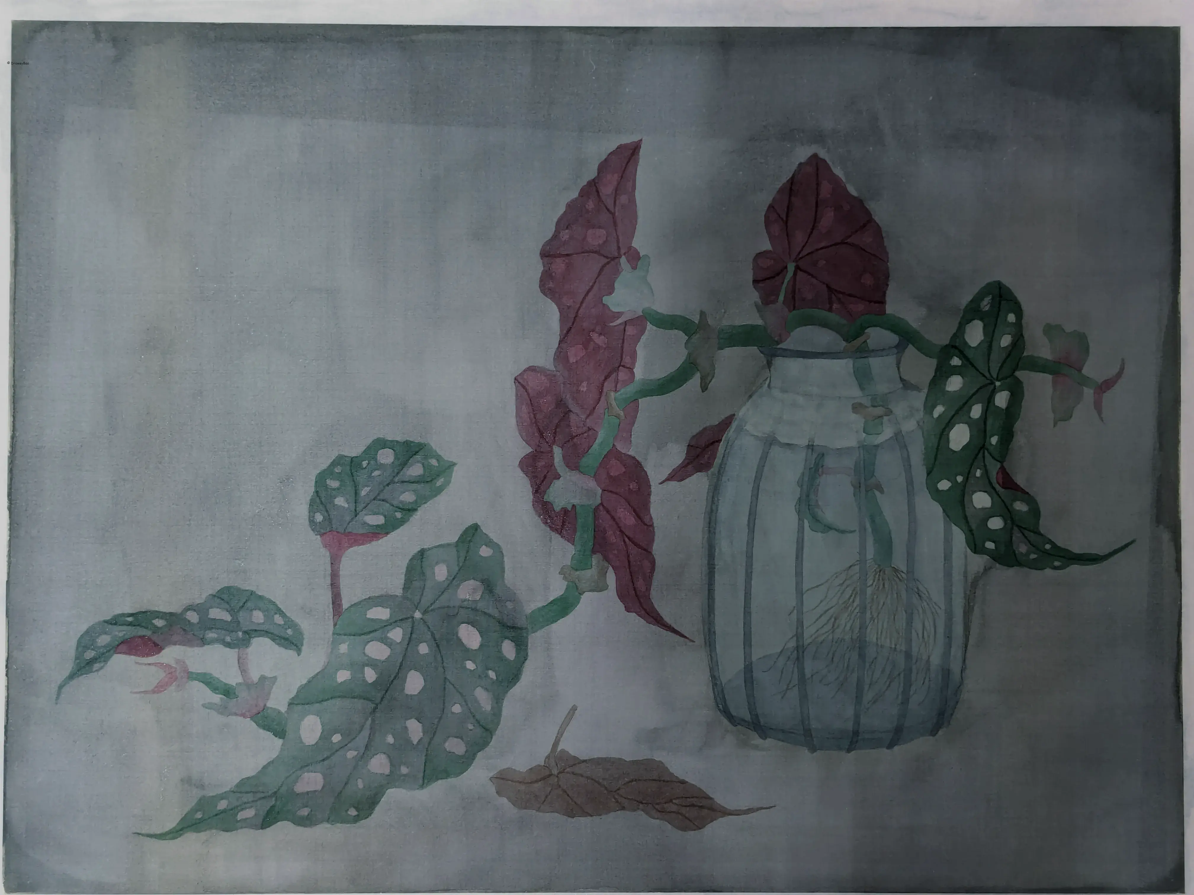 /images/painting/膠彩/星點秋海棠/圖/i2.webp