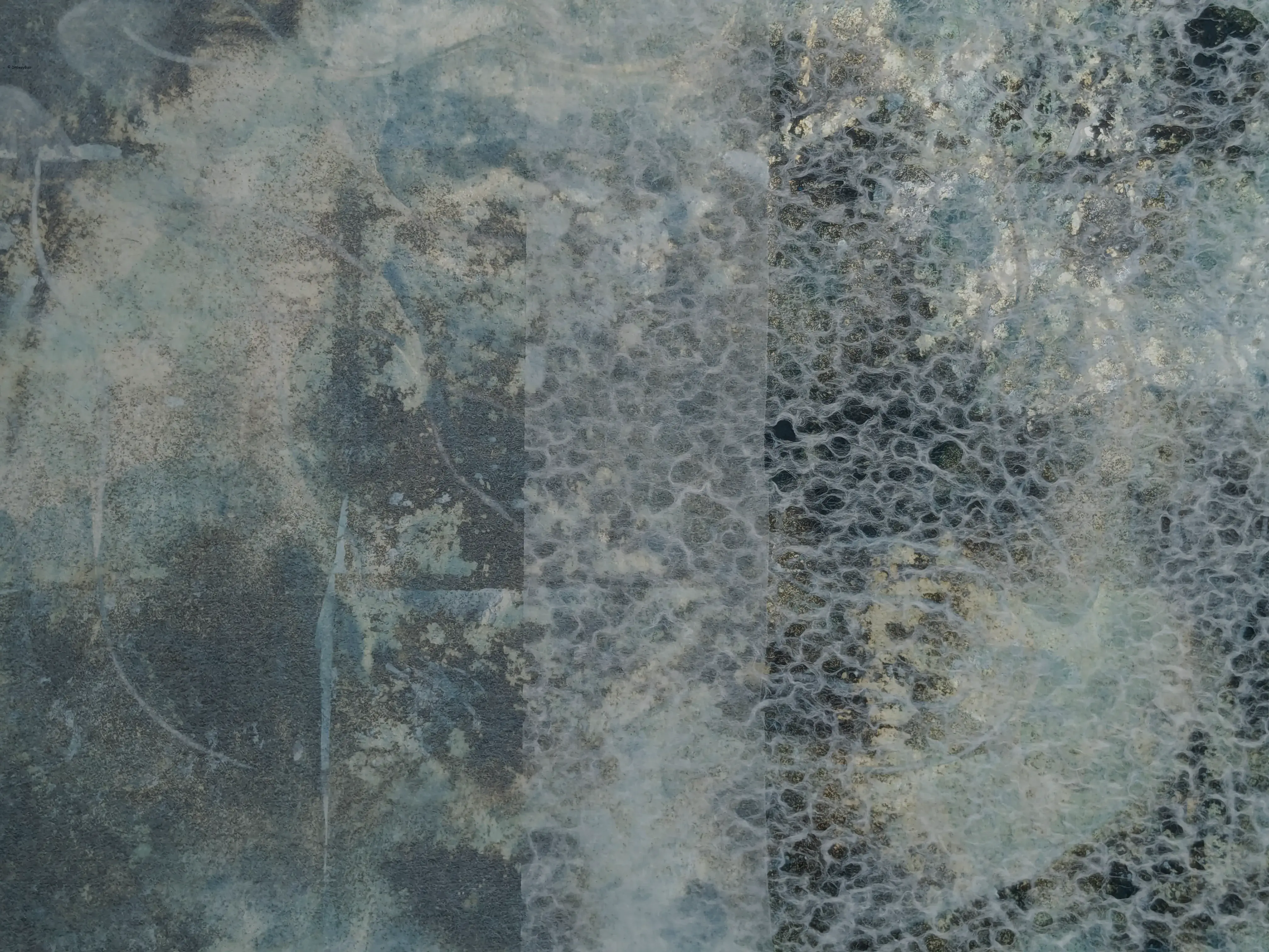 /images/painting/膠彩/水母漂流記/過程/p10.webp