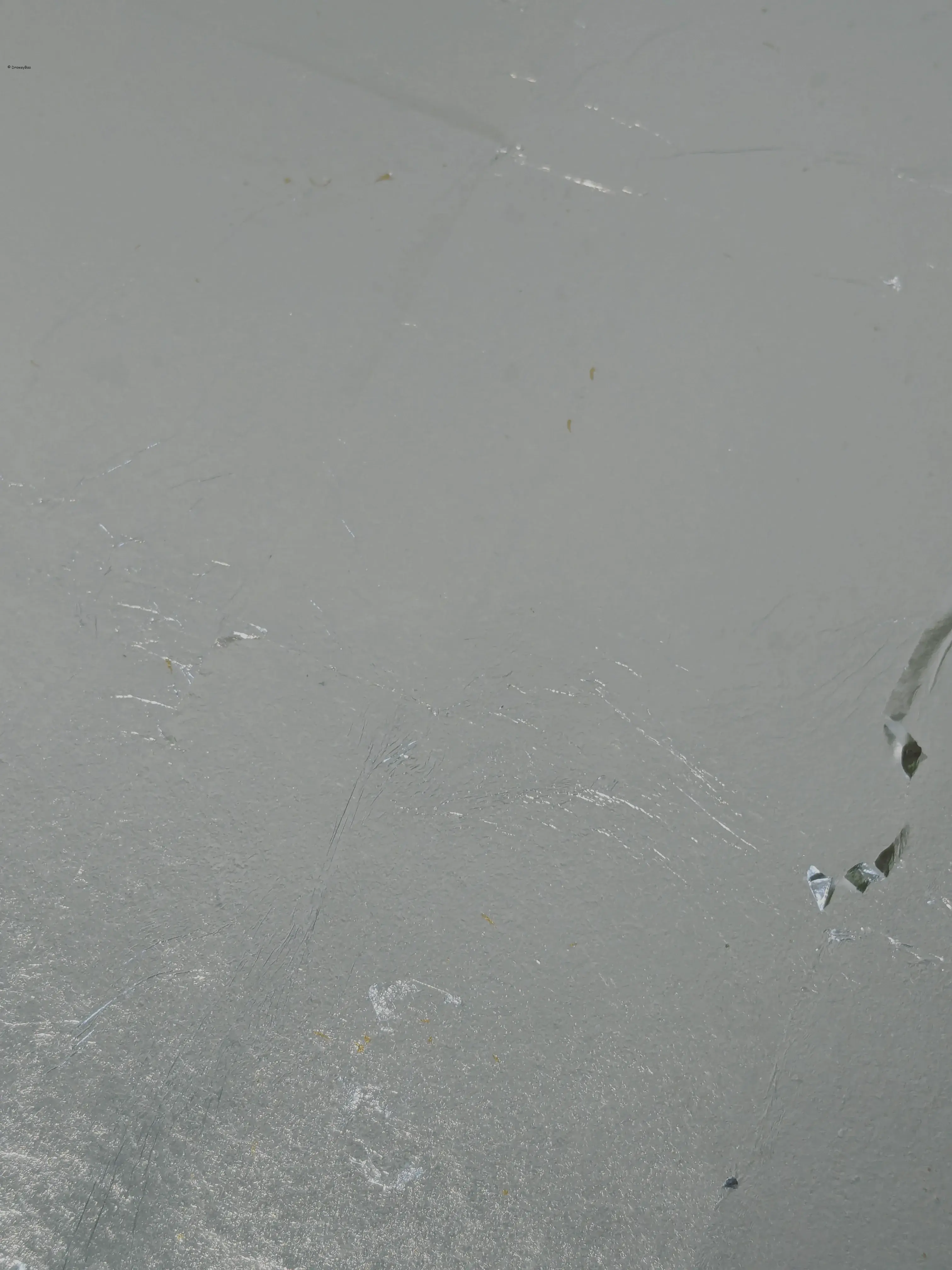 /images/painting/膠彩/水母漂流記/過程/p1.webp