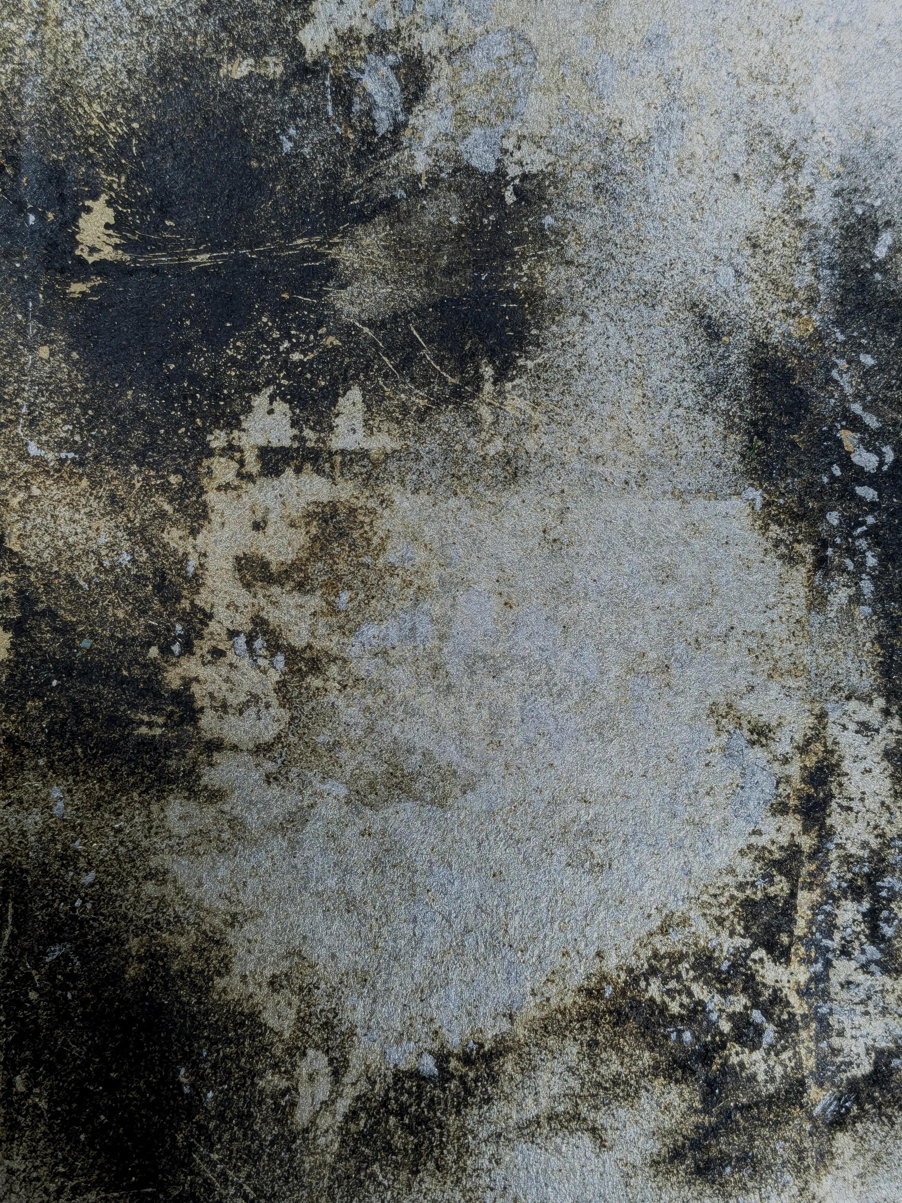/images/painting/膠彩/水母漂流記/過程/p3.webp