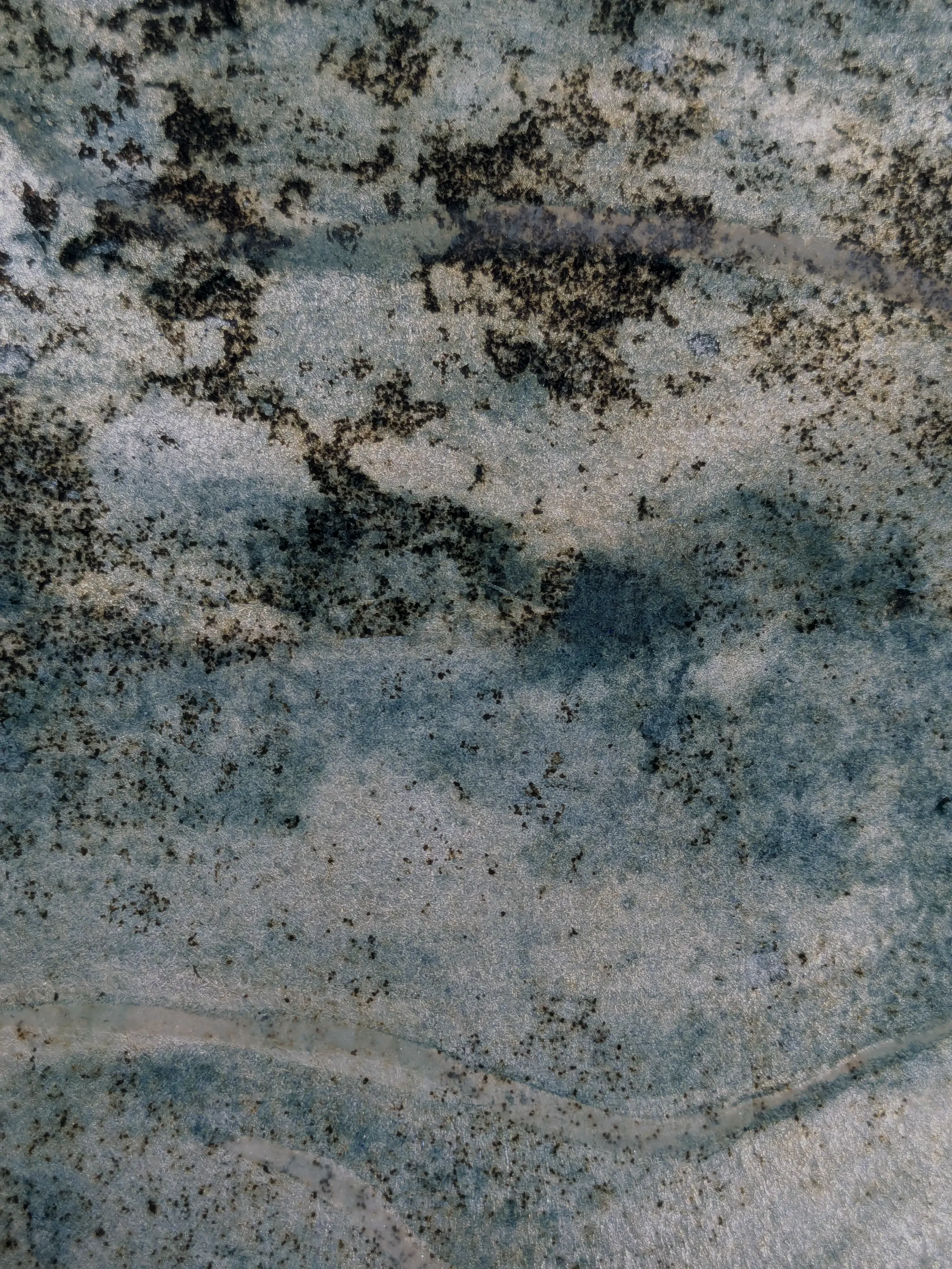 /images/painting/膠彩/水母漂流記/過程/p8.webp